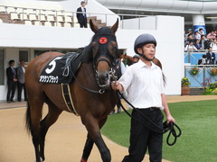 20161001 中山10R 習志野特別 オウケンブラック 08