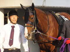 20131207 中山競馬場 ユーロビート 06