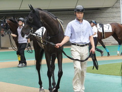 20170625 東京6R 3歳未勝利 ファインパープル 08