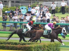 20150627 東京8R 東京JS(JG3) メジロサンノウ 13