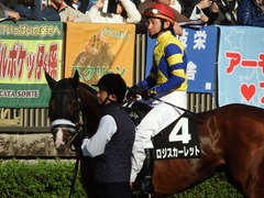 20181125 東京8R オリエンタル賞(1000) ロジスカーレット 18