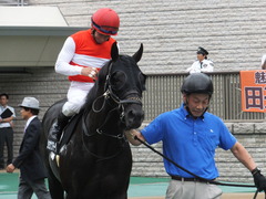 20170625 東京11R パラダイスS 3歳上(OP) ショウナンアチーヴ 14