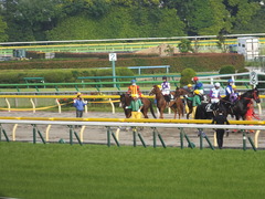 20140525 東京12R 丹沢S ユーロビート 14