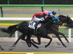 20151123 東京1R 2歳未勝利 アイルーロス 10