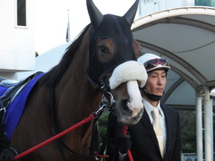 20151229 大井10R 東京大賞典 (G1) ユーロビート 15
