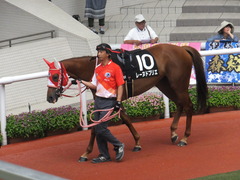 20170923 阪神10R 夕月特別(牝1000) レーヌドブリエ 06