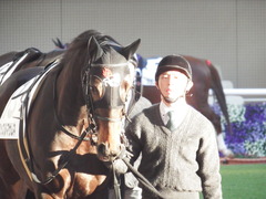 20181208 阪神12R (500) マッスルマサムネ 08