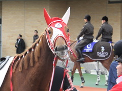 20141207 中京4R 2歳未勝利 レーヌドブリエ 16