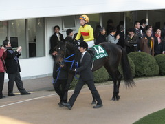 20150104 中山11R 中山金杯(G3)ラブイズブーシェ 06