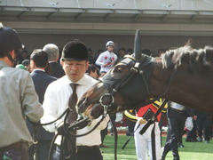 20180401 阪神11R 大阪杯(G1) トリオンフ 06