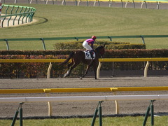 20150221 東京1R 3歳未勝利 フレンドマキシマム 08