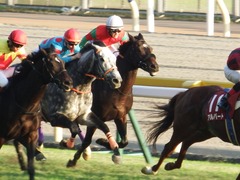 20171105 東京11R AR共和国杯(G2) マイネルサージュ 20