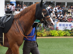 20161001 中山10R 習志野特別 アッシュゴールド 05
