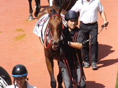 20170910 阪神3R 3歳未勝利 フェアチャイルド 10