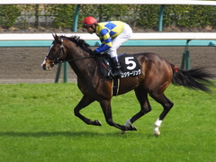 20160320 中山9R 幕張S(1600) ロジダーリング 15