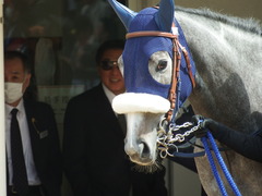 20180324 中山3R 3歳未勝利 ウェディングベール 09