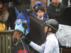 20190427 東京9R 秩父特別(1000) アドマイヤシナイ 13