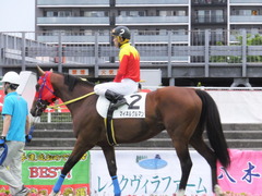 20170524 大井8R B2 マイネルグルマン 12