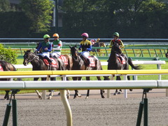 20160430 東京11R 青葉賞(G2) プロディガルサン 20