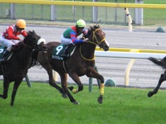 20151031 東京11R アルテミスS(G3) テイケイレーヴ 14