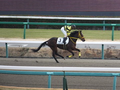 20150104 中山2R 3歳未勝利 ノーブルクリスタル 10