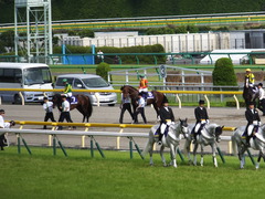 20160605 東京11R 安田記念(G1) モーリス 19
