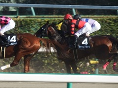 20190105 中山9R 招福S(1600) オウケンブラック 17