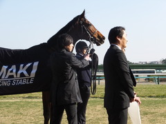 20140117 中山競馬場 ヴィルトグラーフ 18