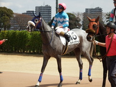 20180324 中山3R 3歳未勝利 ウェディングベール 17