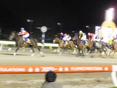20170524 大井11R 大井記念(S2) ユーロビート 18