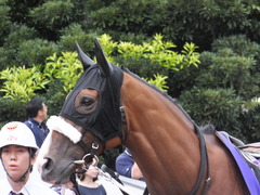 20140915 大井11R 東京記念 ユーロビート 08