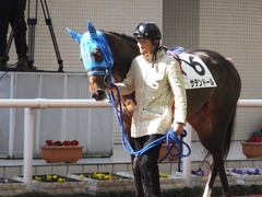 20170225 阪神4R 3歳未勝利 サテンドール 04