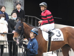 20170205 東京1R 3歳未勝利 メガポリゴン 15
