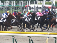 20150614 東京3R 3歳未勝利 コスモポッポ 12