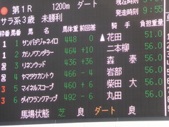 20140118中山競馬場 リネンウッド 01
