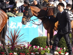 20161224 中山10R クリスマスカップ(1000) オウケンブラック 07