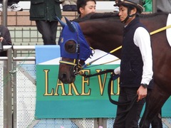 20181202 中山12R (1000) ラッシュアタック 08