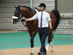 20180616 東京6R 3歳未勝利 ロジスカーレット 08