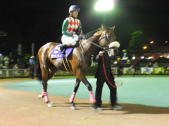20151104 大井11R マイルグランプリ(S2) グランディオーソ 07