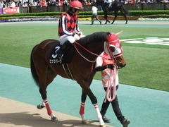 20190428 東京9R 陣馬特別(1000) ピッツバーグ 14