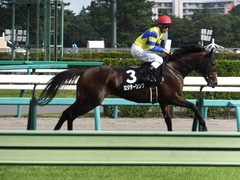 20150921 中山9R 白井特別 ロジダーリング 16