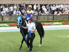 20151010 東京4R 3歳上障害未勝利 サウンドアラムシャ 07