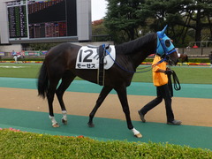 20151017 東京4R 2歳メイクデビュー モーゼス 05
