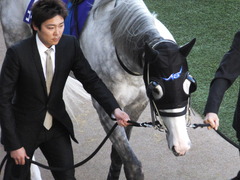 20131222 有馬記念 ゴールドシップ 04