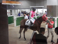 20190512 東京1R 3歳未勝利 ハクシンドリーム 14