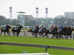 20141026 東京4R サウンドアラムシャ 13