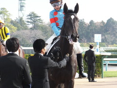 20161218 中山4R 2歳未勝利 ダンスウィズユー 20