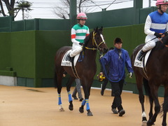 20150308 中山5R 3歳未勝利 ラッシュアタック 11