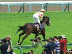 20180415 中山11R 皐月賞(G1) ダブルシャープ 17