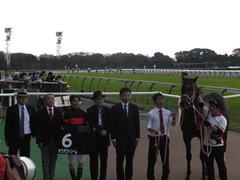 20171104 東京9R 南武特別(1000) ホウオウドリーム 22